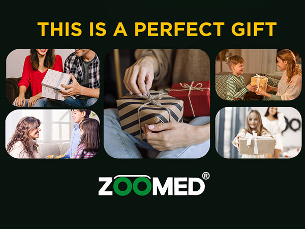 CB007: 10X25 Compact Binoculars